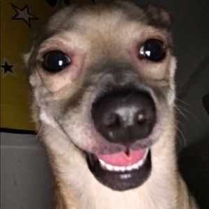 Meet your Posher, Sariyah